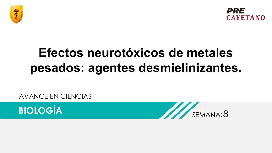 Efectos Neurotóxicos de Metales Pesados: Agentes Desmielinizantes 