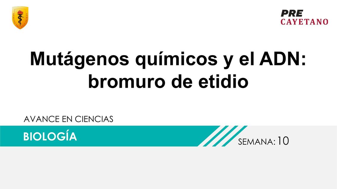 Mutágenos Químicos y el ADN: Bromuro de Etidio 