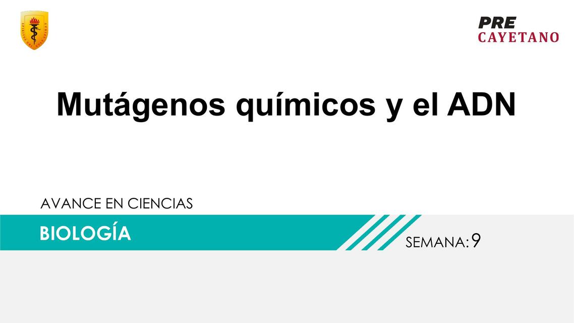 Mutágenos Químicos y el ADN 