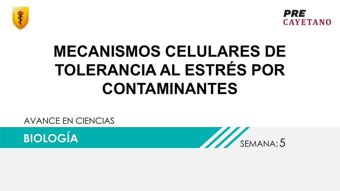 Mecanismos Celulares de Tolerancia al Estrés por Contaminantes 