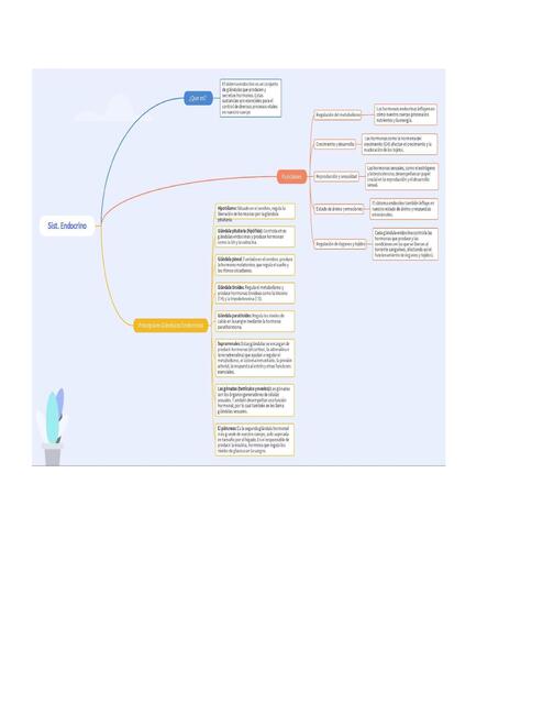 Sistema endocrino 