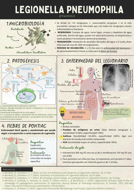 Infografía sobre Legionella pneumophila