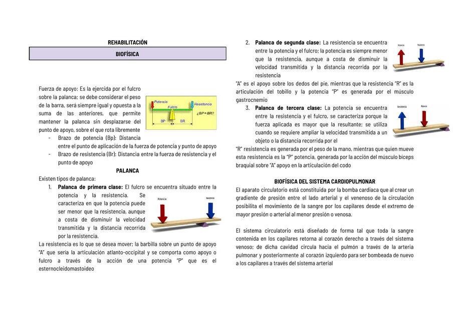 Biofísica