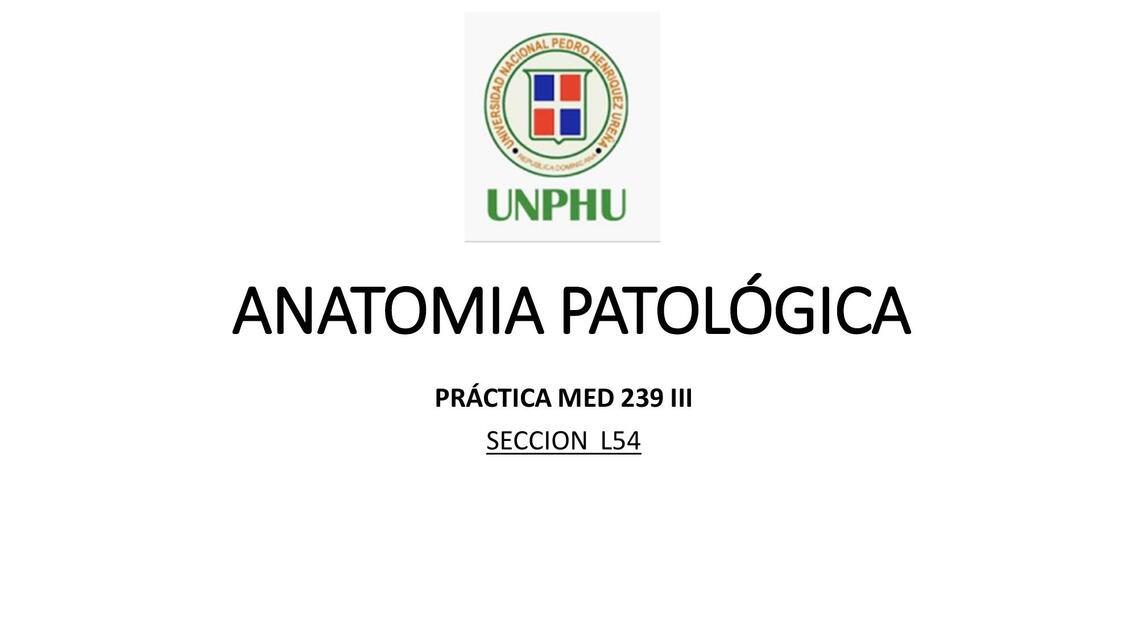 Anatomía patológica  