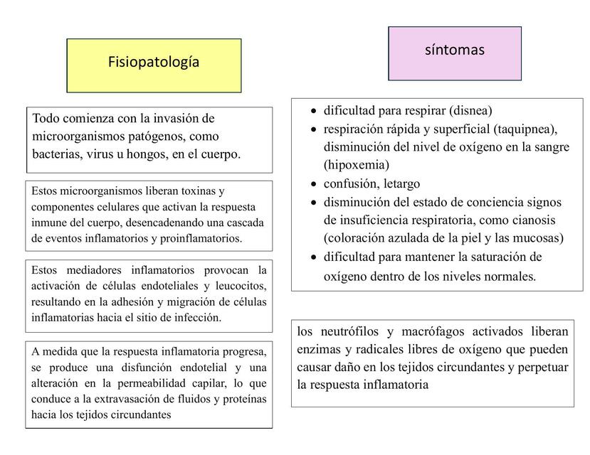 Sepsis Respiratoria