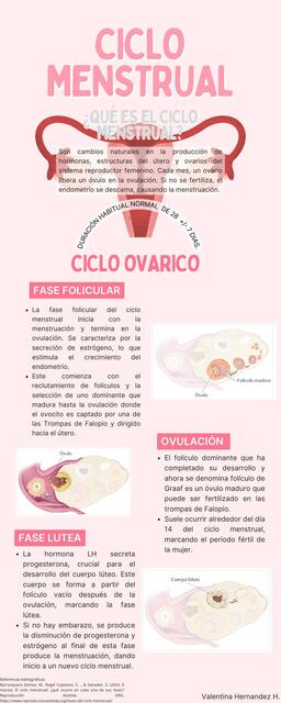 Infografía ciclo menstrual