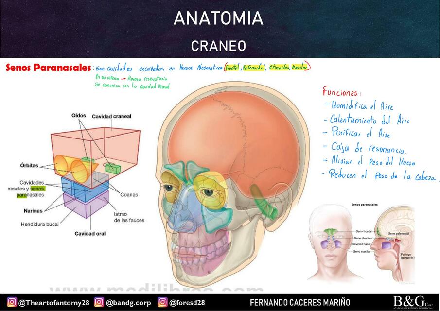 3.2. CRANEO