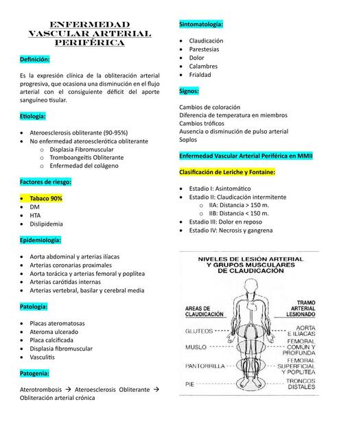 Enfermedad Vascular Arterial Periférica