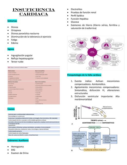 Insuficiencia Cardiaca