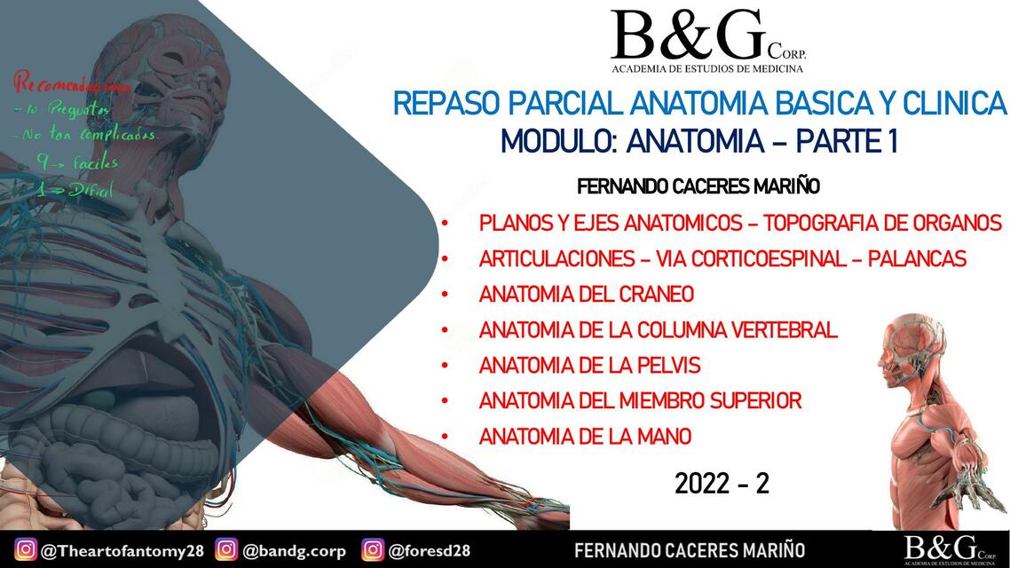 Repaso parcial anatomia basica y clinica 