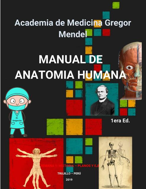 Manual de anatomia humana 