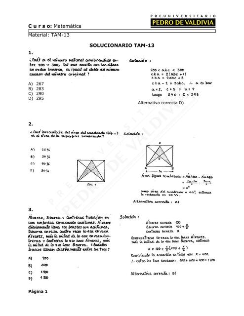 Solucionario TAM13