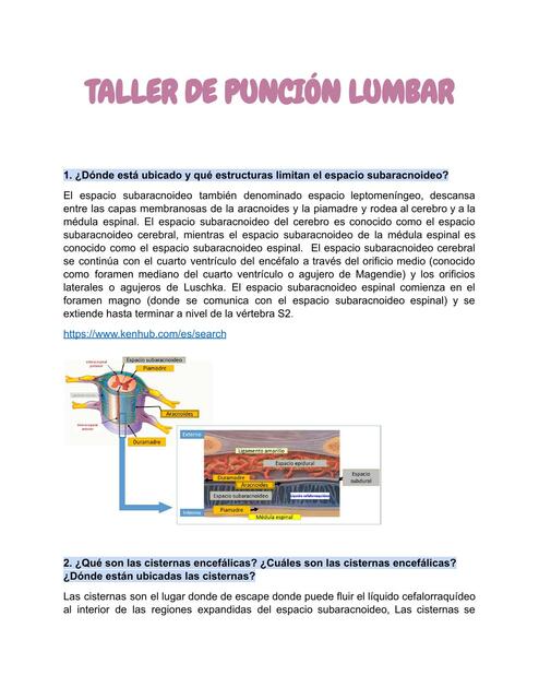 TALLER PUNCIÓN LUMBAR