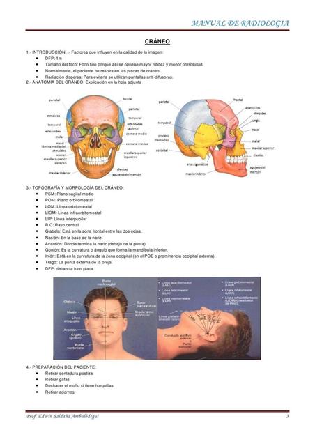 manual de radiologia para principiantes