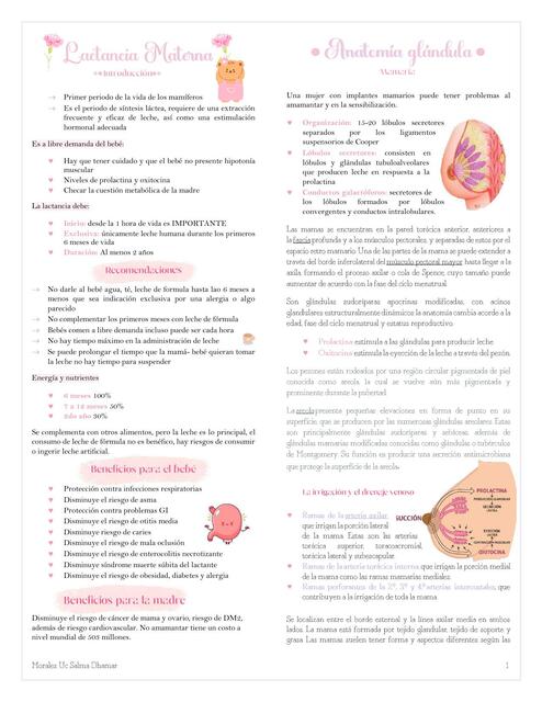 LACTANCIA MATERNA: anatomía, fisiología, composición.