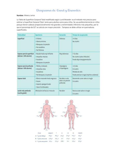 Diagrama de Lund y Browder | maiery Larico Castillo | uDocz