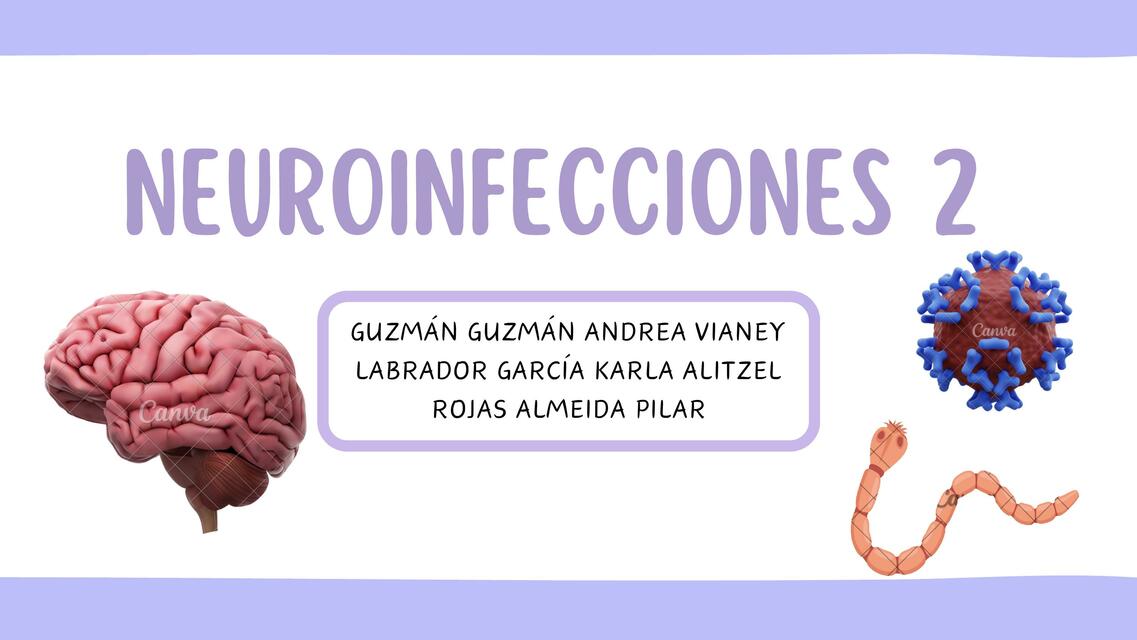 Neuroinfecciones 2 