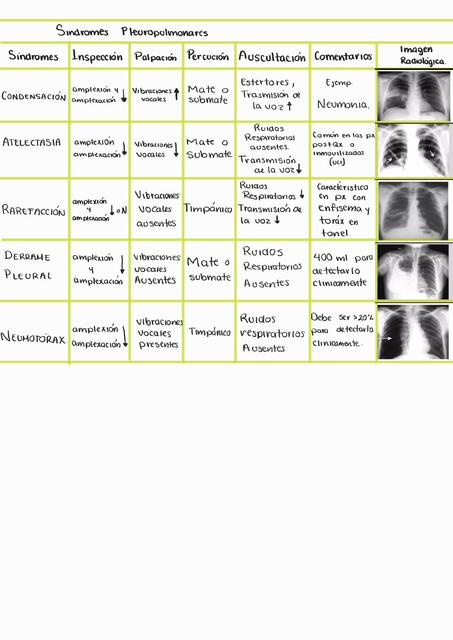 Síndromes Pleuropulmonares 