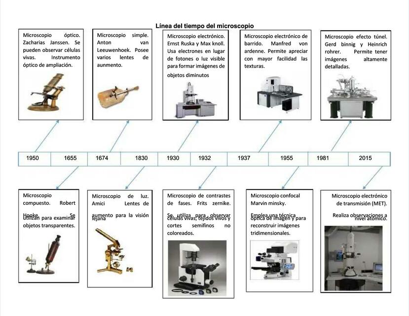 Línea del tiempo del microscopio | Nery Luz | uDocz