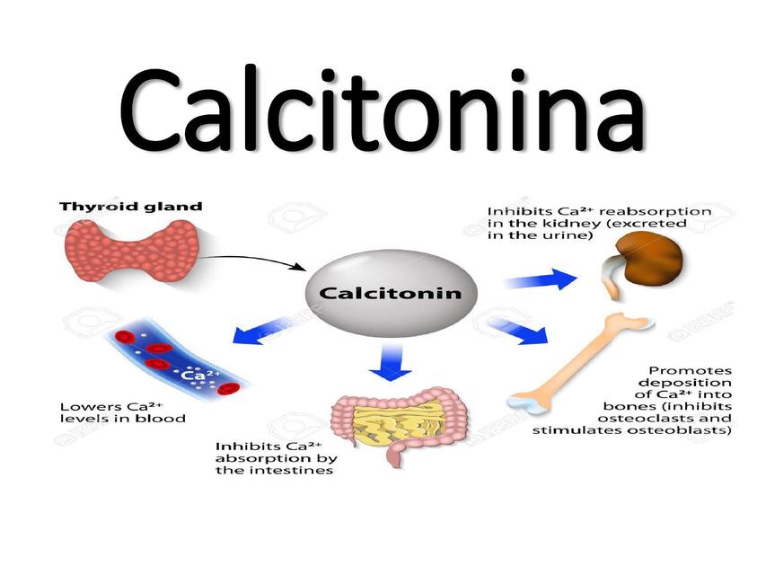 9CALCITONINA