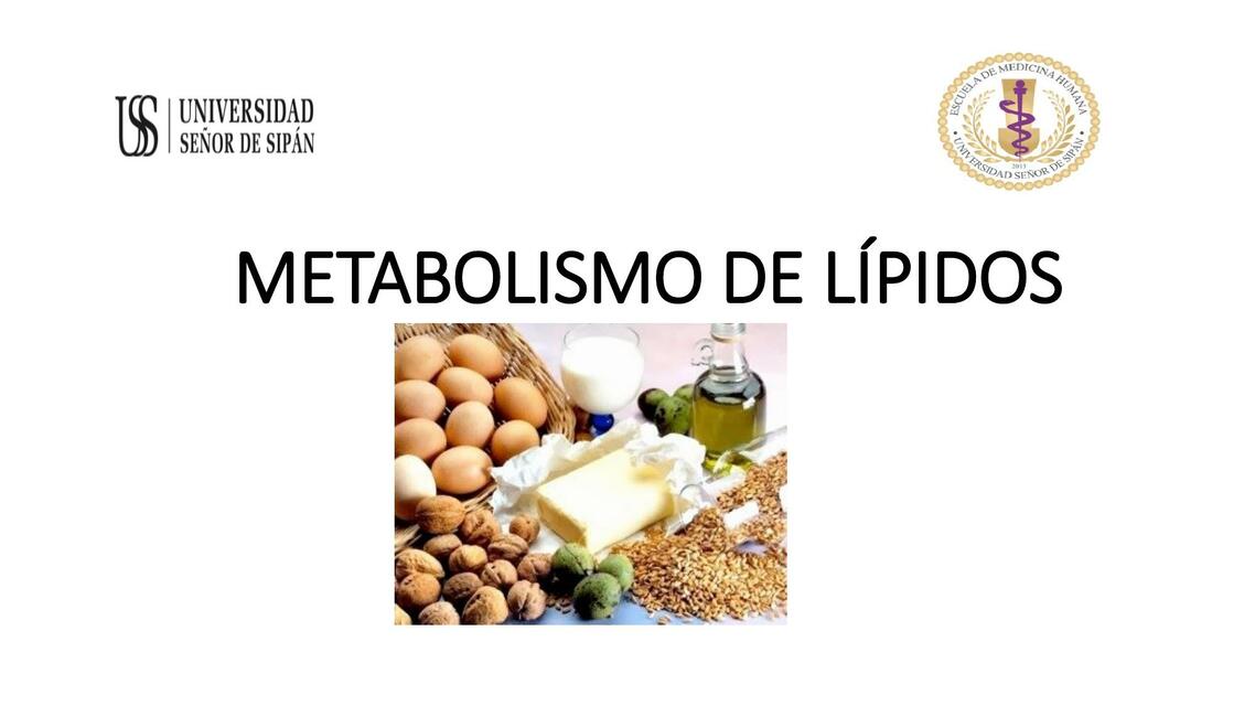 Metabolismo de lípidos 