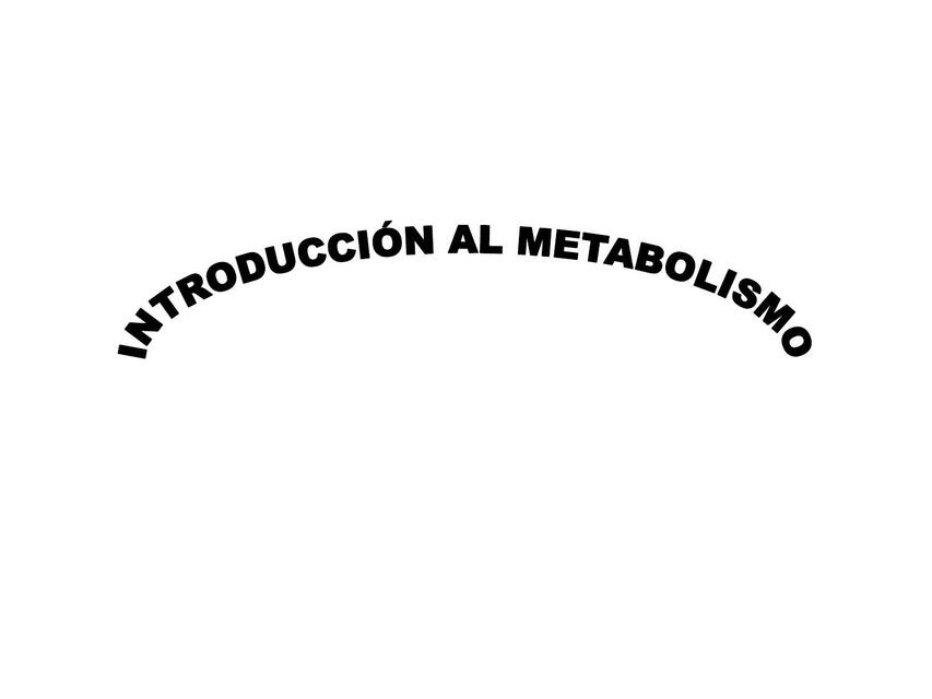 Introducción al metabolismo