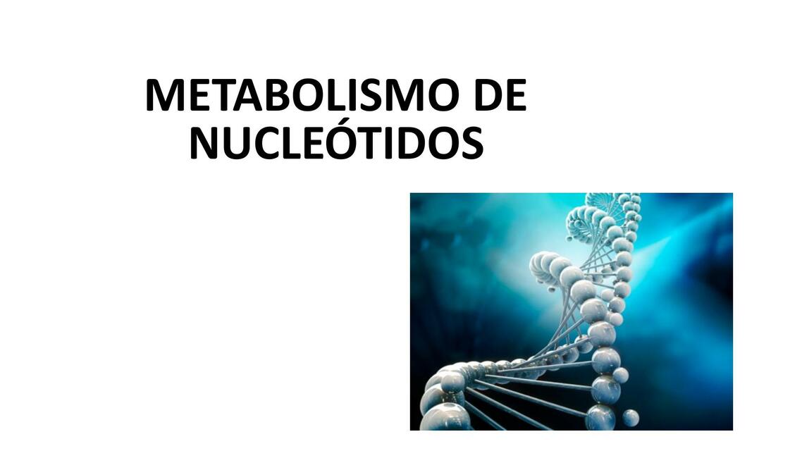 Metabolismo de Nucleótidos 