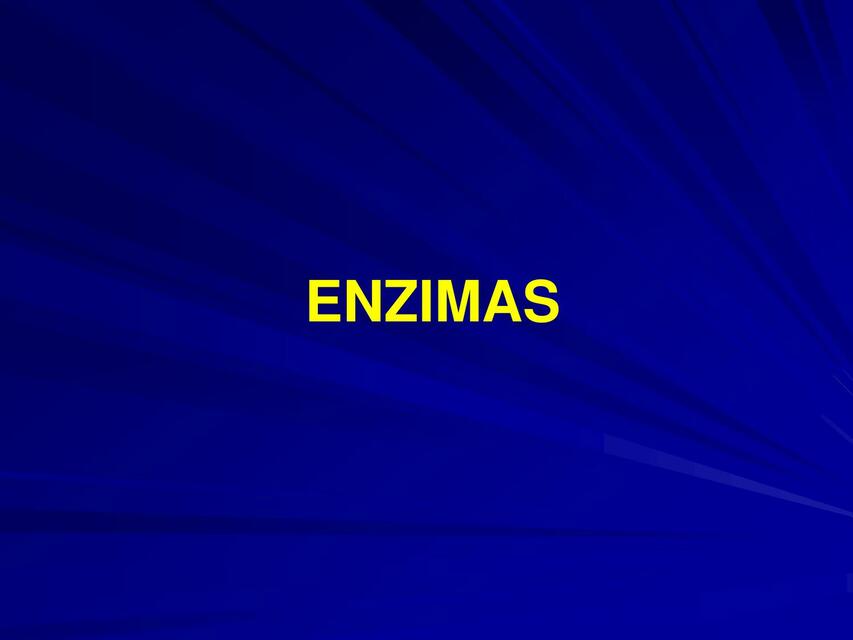 Enzimas