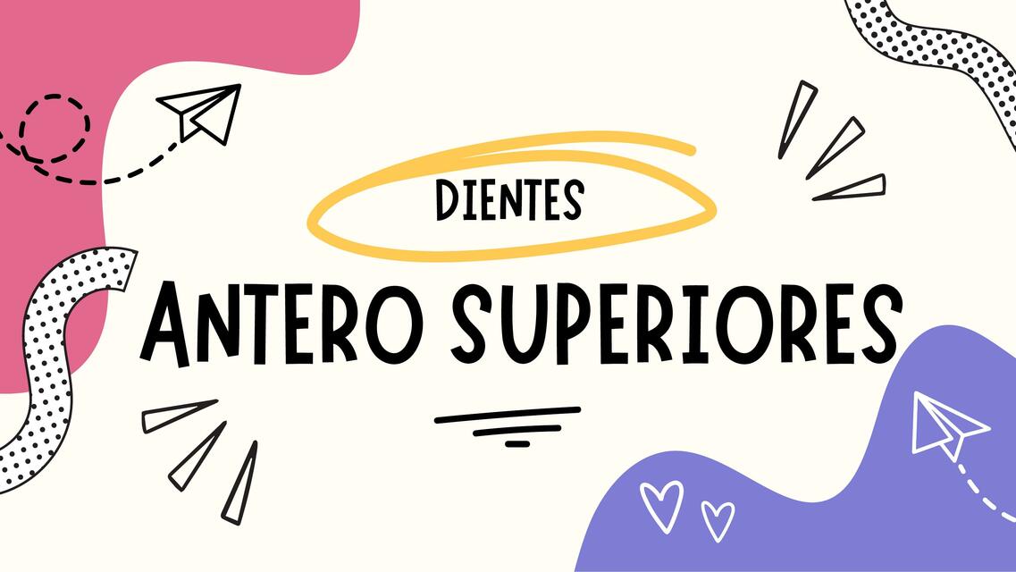 Dientes antero superiores