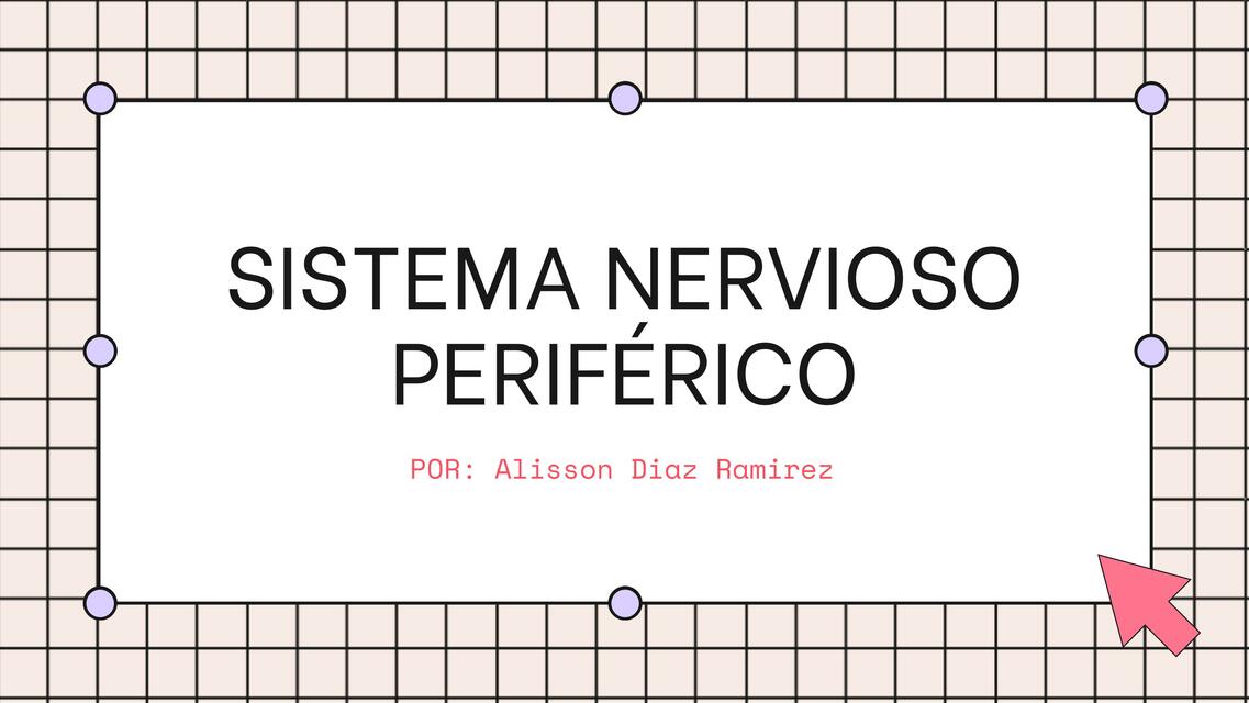 Sistema Nervioso Periférico 