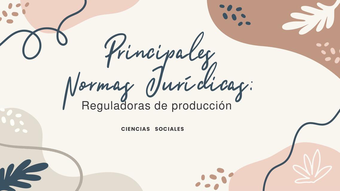 Principales normas jurídicas reguladoras de producción 