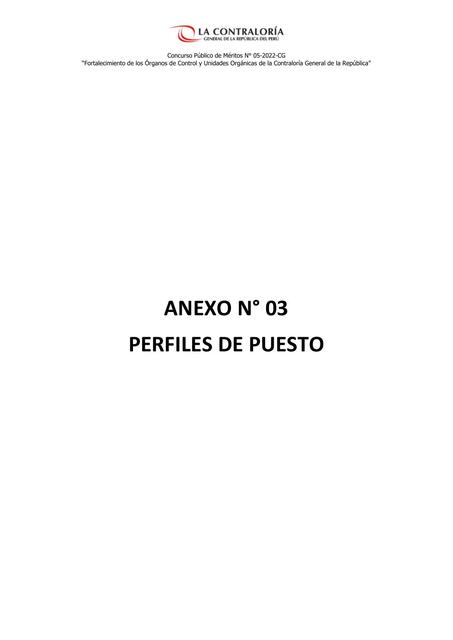 Anexo N03 Perfiles de Puesto 