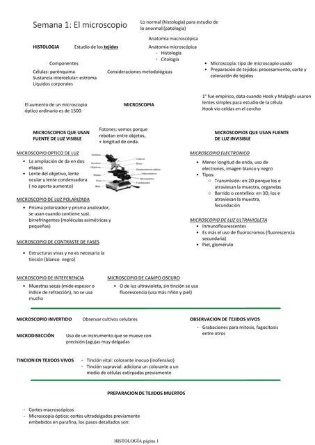 El Microscopio