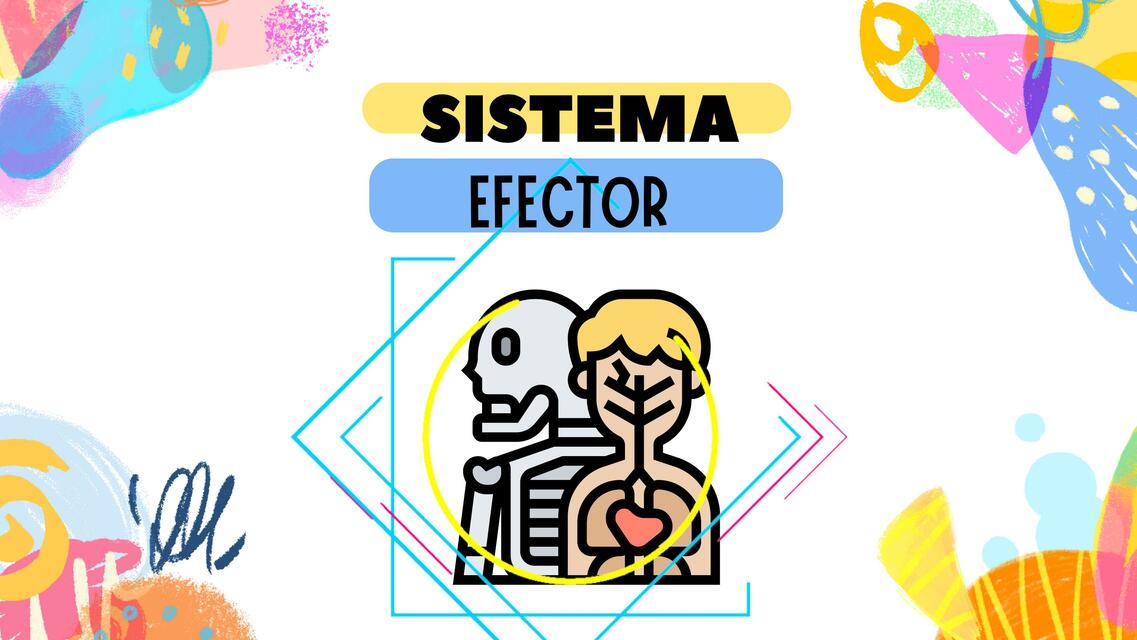 Sistema efector jerly uDocz