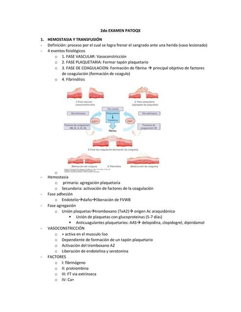 Examen patoqx