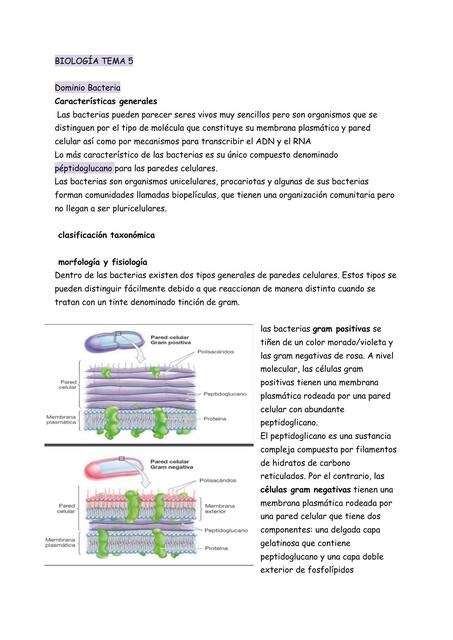 BIOLOGÍA TEMA 5 Y 6