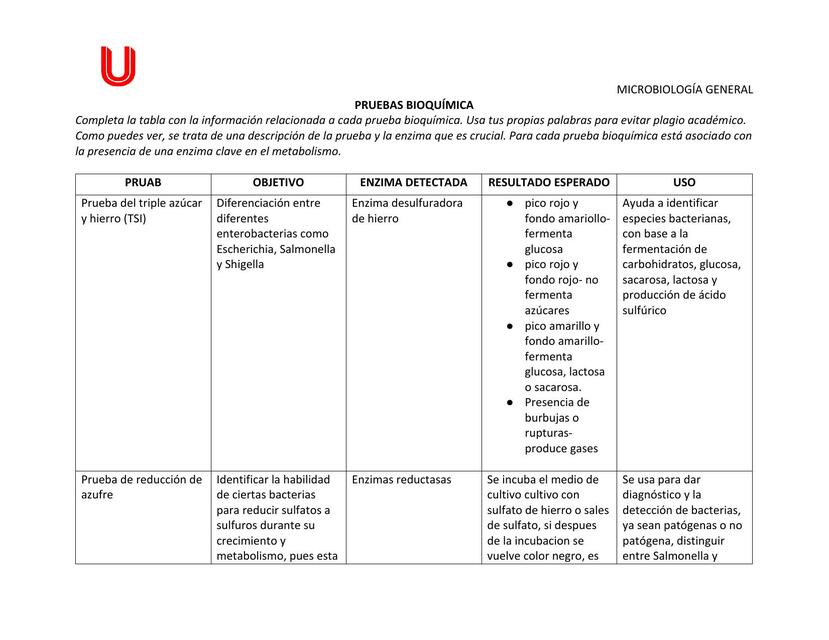 Pruebas bioquimicas 