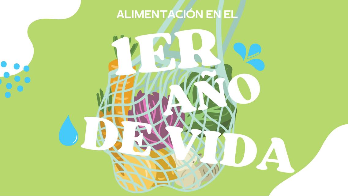 Alimentación en el primer año de vida