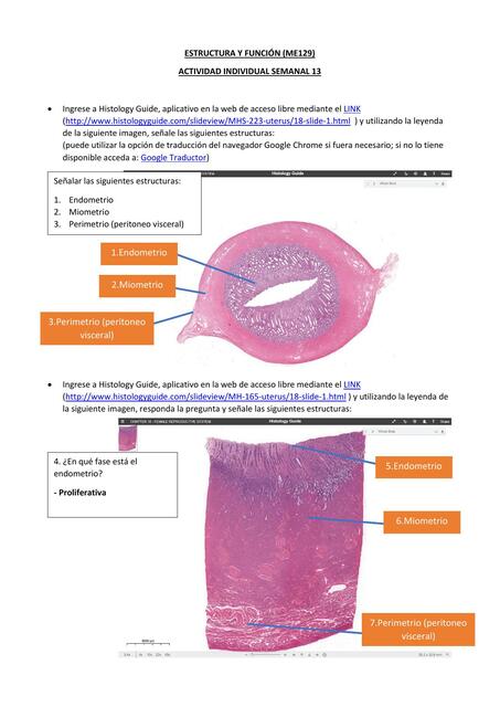 Estructura y función del aparato reproductor femenino 