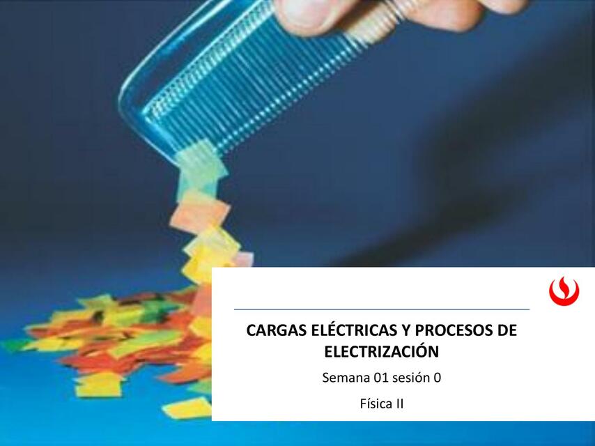 Cargas Eléctricas y Procesos de Electrización 