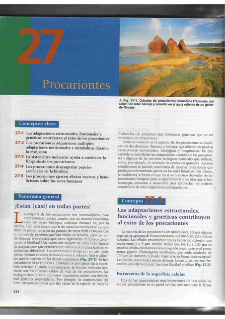 Procariontes 