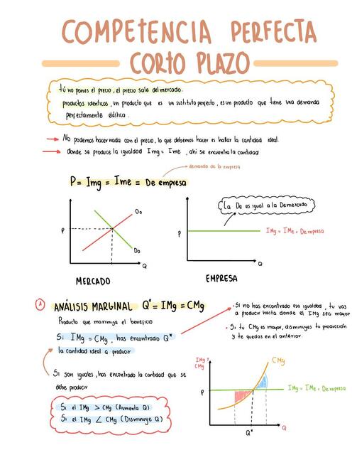 Teoría Microeconómica 10