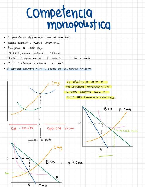 Teoría Microeconómica 13