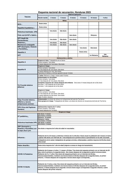 Esquema de vacunación  