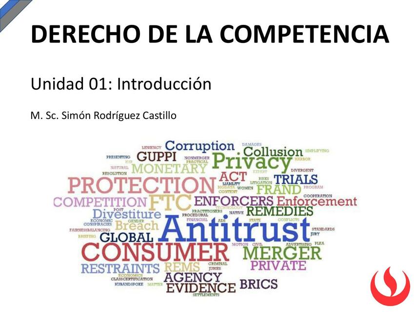 Introducción- Derecho de la Competencia 