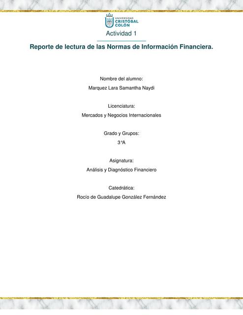 Resumen de las Normas de Información Financiera