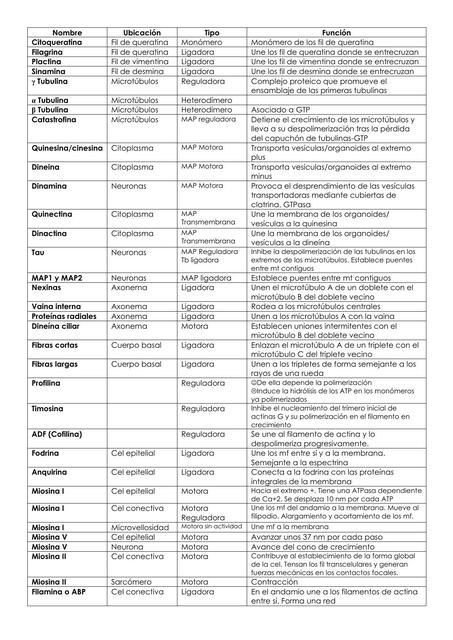 Proteínas del citoesqueleto