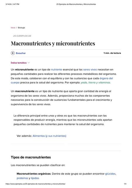  Ejemplos de Macronutrientes y Micronutrientes