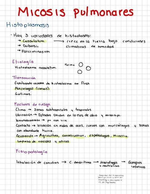 Micosis pulmonares