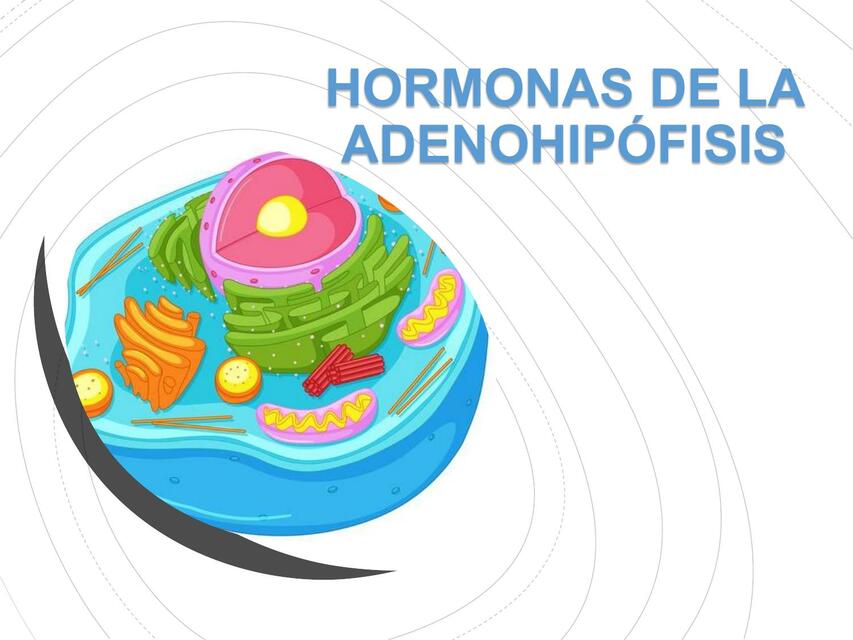 Hormonas de la adenohipófis